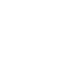 Abebibytan